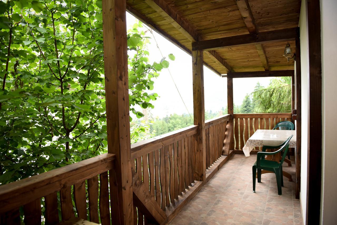 Hotel Casa Edy Colibiţa Zewnętrze zdjęcie