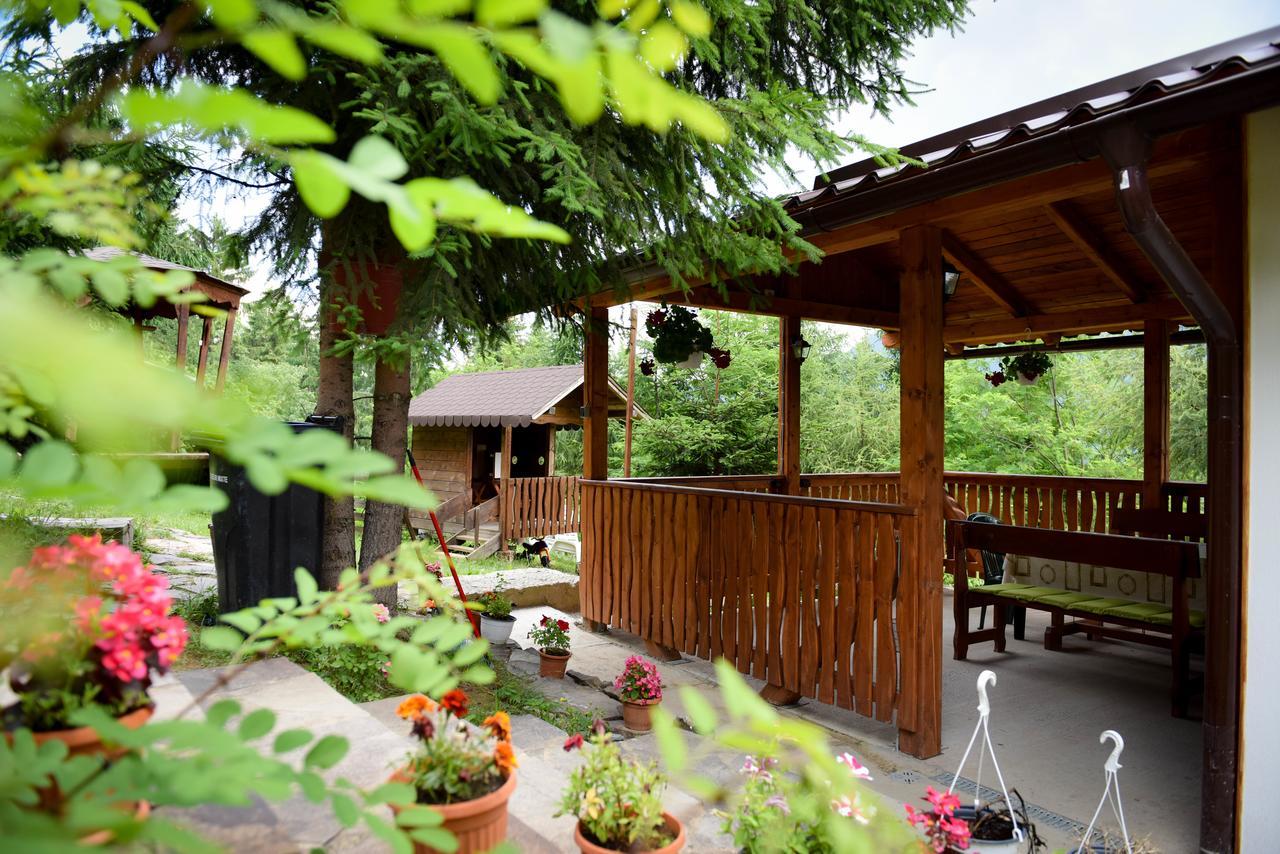 Hotel Casa Edy Colibiţa Zewnętrze zdjęcie